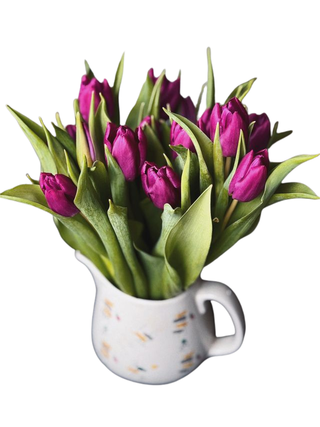 A vase with tulips